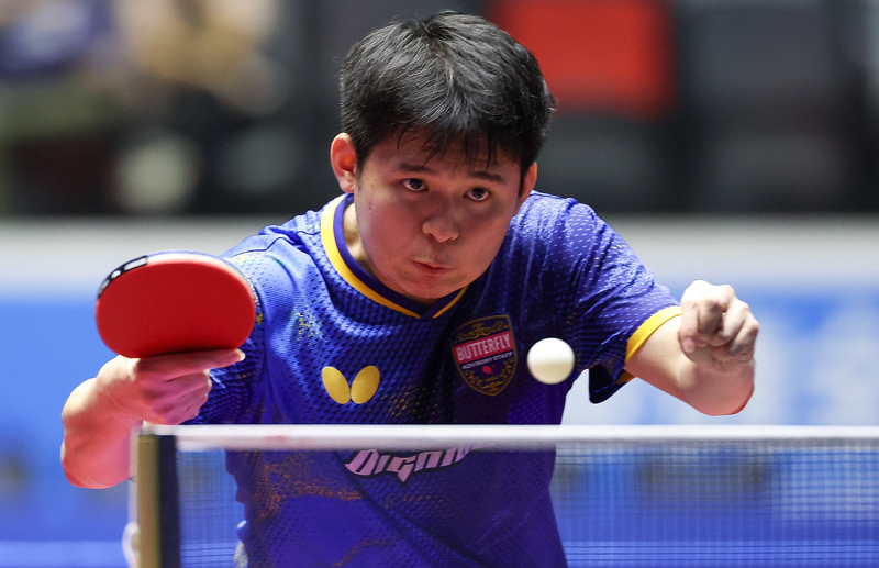 为何人人都爱樊振东？赛场内外见真章