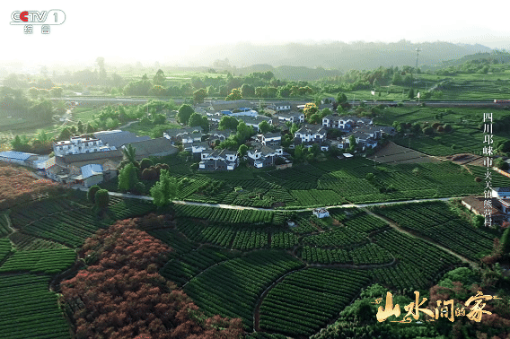 山水间的家丨茶香果甜润沃土 渔歌艺韵绘新乡
