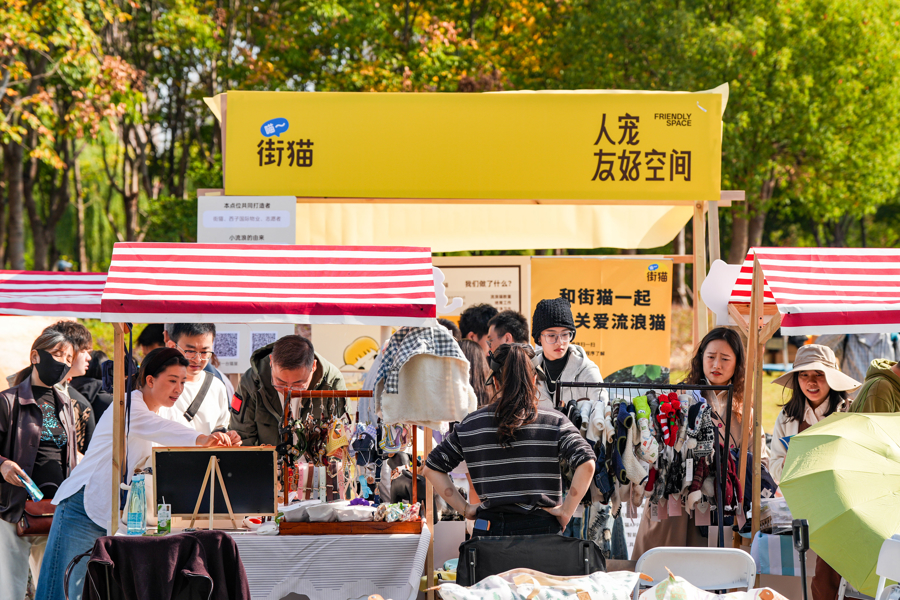 闵行马桥,为期2天的“宠物嘉年华”正在上演,带你解锁“人宠友好”新玩法
