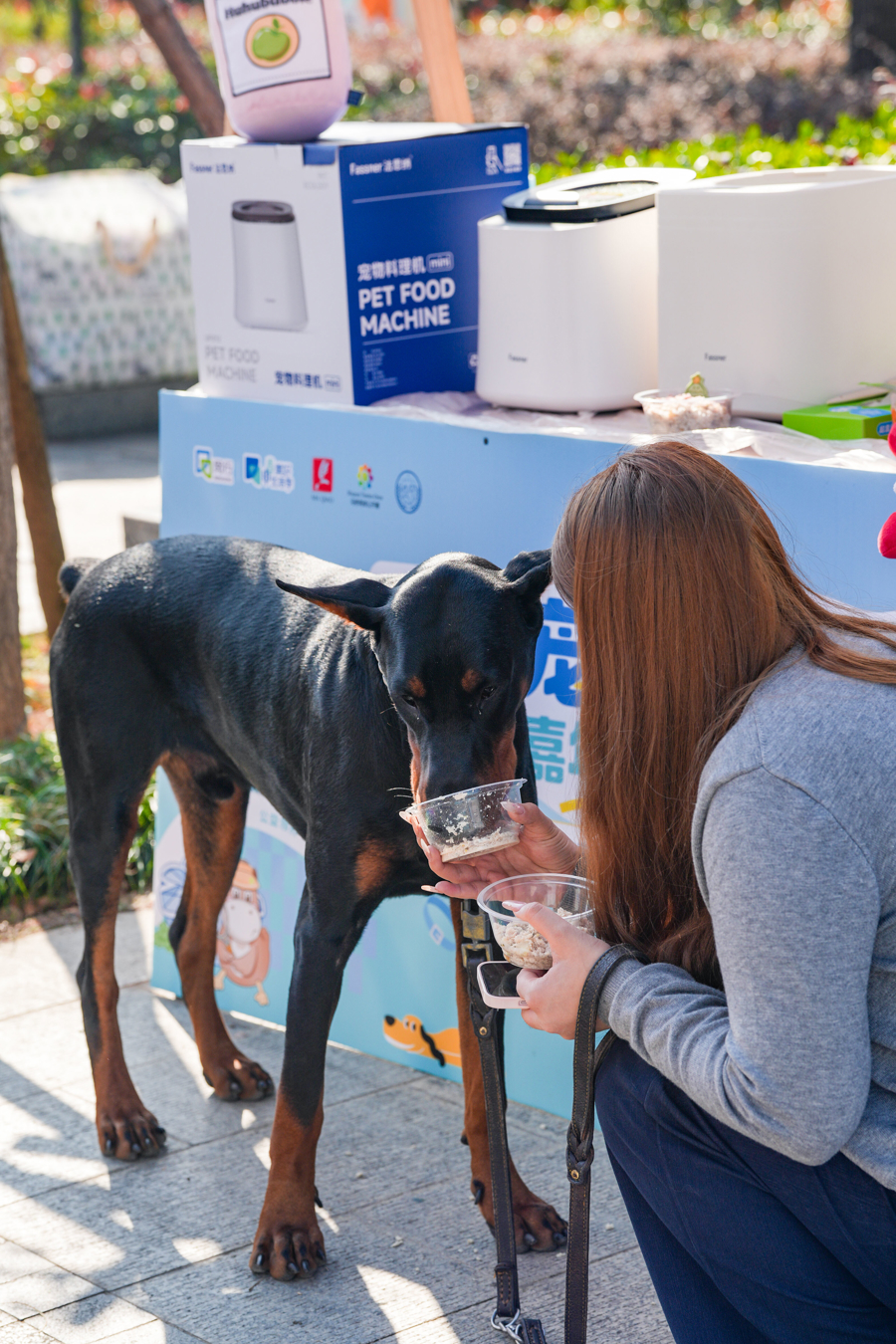 闵行马桥,为期2天的“宠物嘉年华”正在上演,带你解锁“人宠友好”新玩法