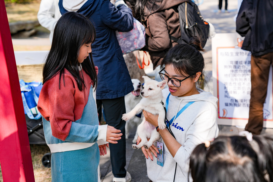 闵行马桥,为期2天的“宠物嘉年华”正在上演,带你解锁“人宠友好”新玩法