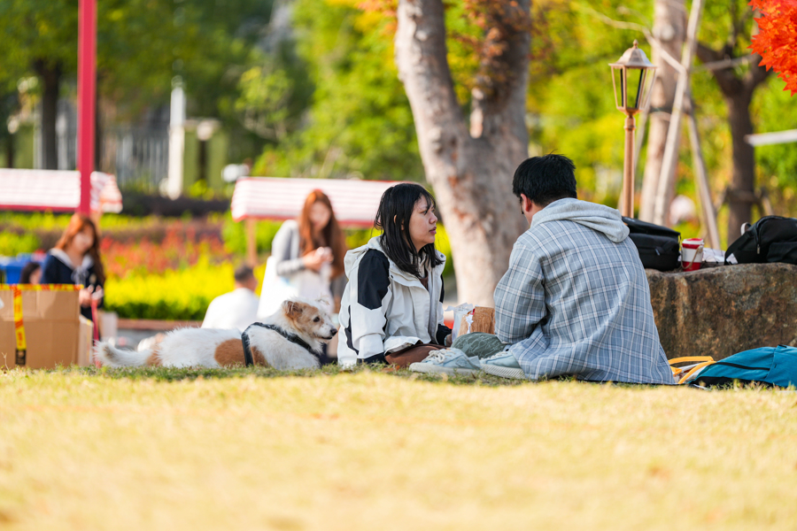 闵行马桥,为期2天的“宠物嘉年华”正在上演,带你解锁“人宠友好”新玩法