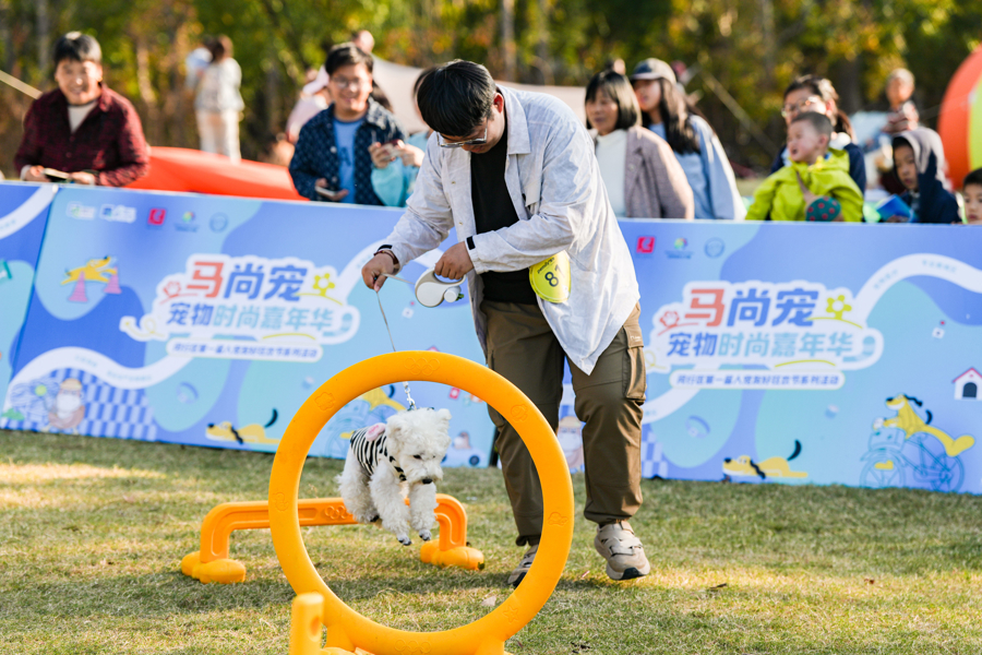闵行马桥,为期2天的“宠物嘉年华”正在上演,带你解锁“人宠友好”新玩法