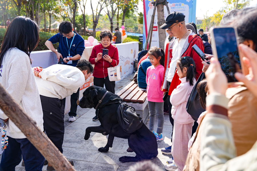 闵行马桥,为期2天的“宠物嘉年华”正在上演,带你解锁“人宠友好”新玩法