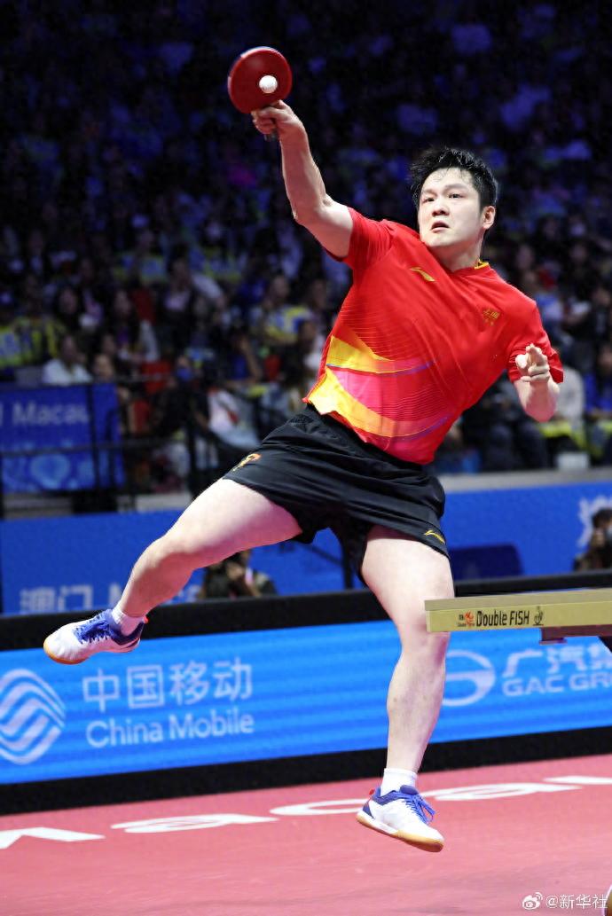 樊振东4:1战胜林诗栋，成功卫冕全运会乒乓球男单冠军，王楚钦获铜牌；樊振东此前主动陪林诗栋练球