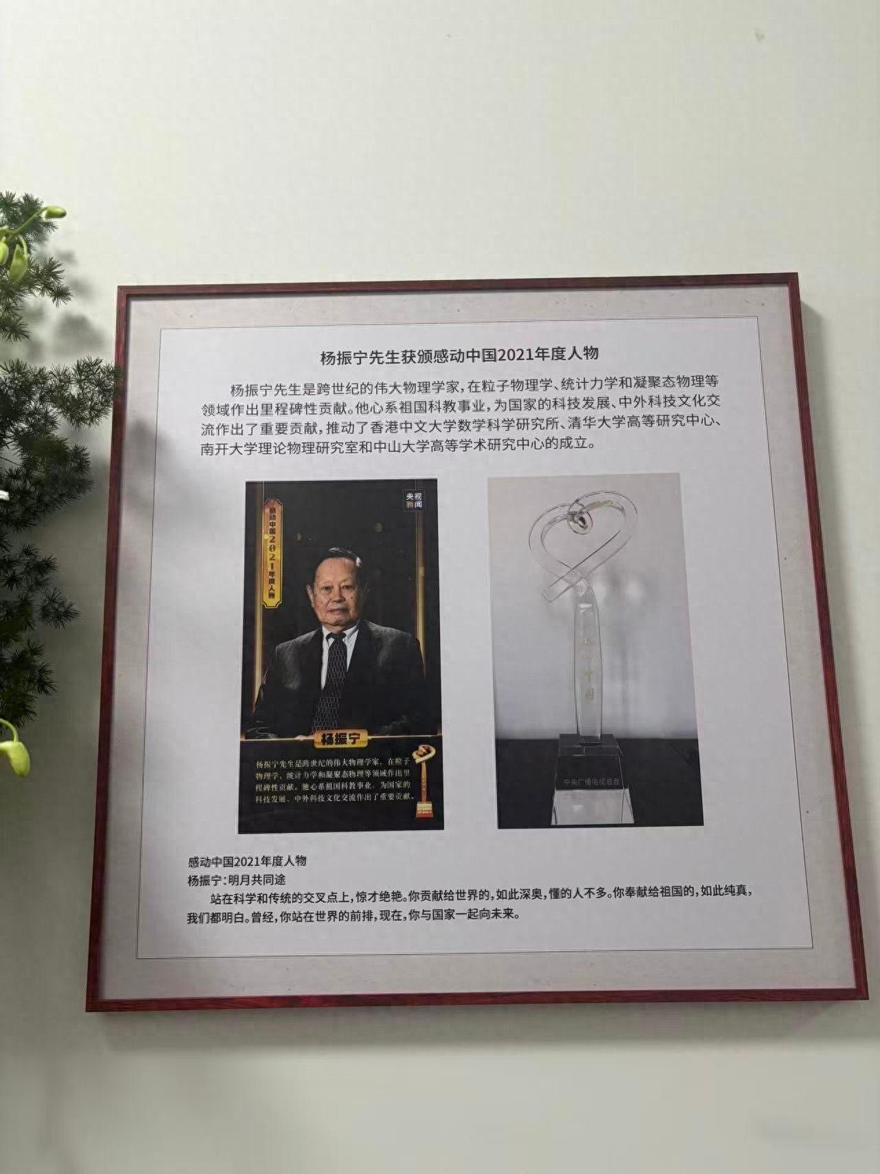 清华杨振宁缅怀室排起长队,有家长带8岁孩子来悼念:想在他心中种下一颗种子