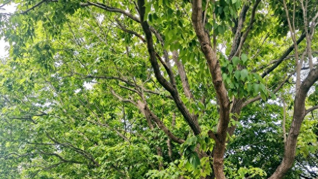 十日谈·都市秋景