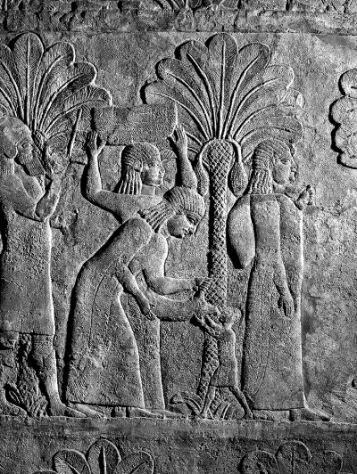 椰枣，阿拉伯人的文化记忆