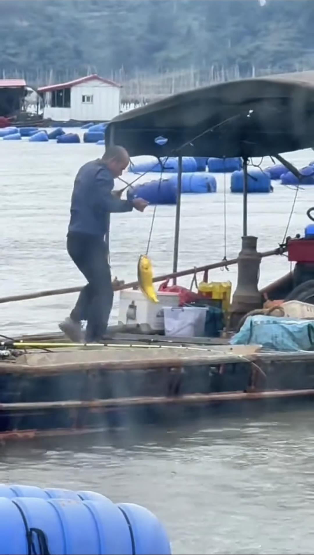 大爷在海上钓起一条“黄金鱼”,视频发布者估算价值2万元,专家解读