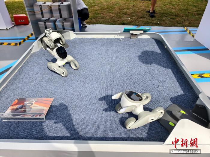 2025中网在北京开赛 体育与科技、文化交融