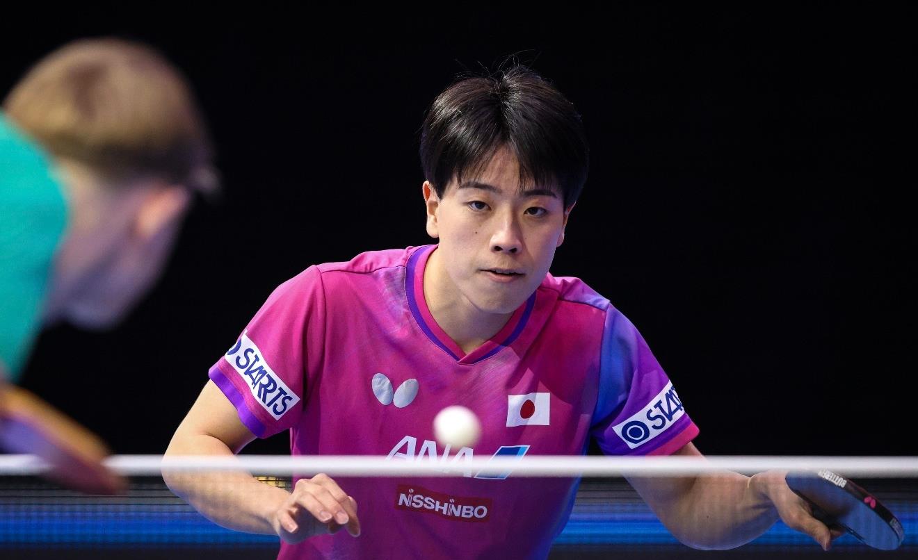 球星赛爆大冷!世界冠军惨遭逆转,张本智和苦战,石洵瑶剃光头