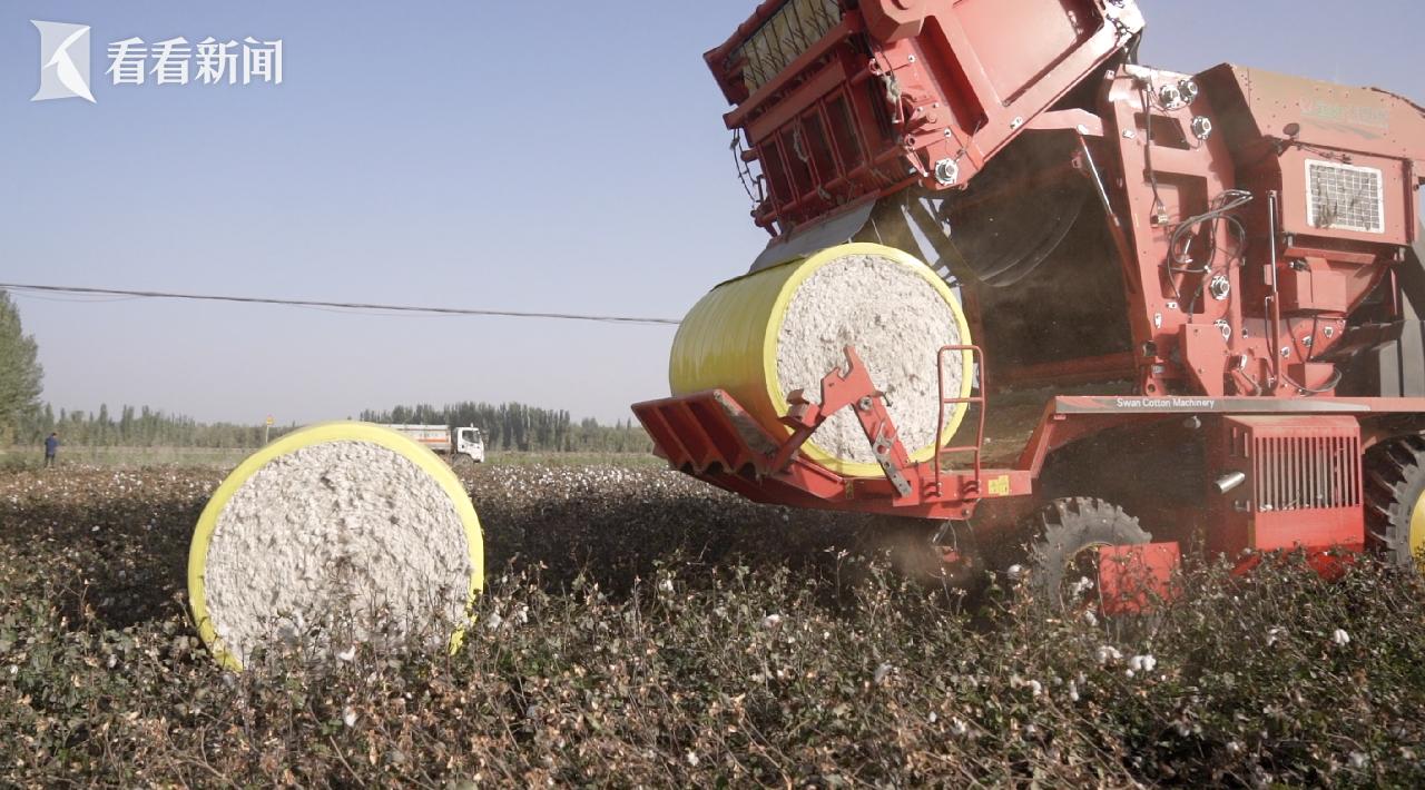 “明年我也买一台!”一位新疆棉农的“机械雄心”