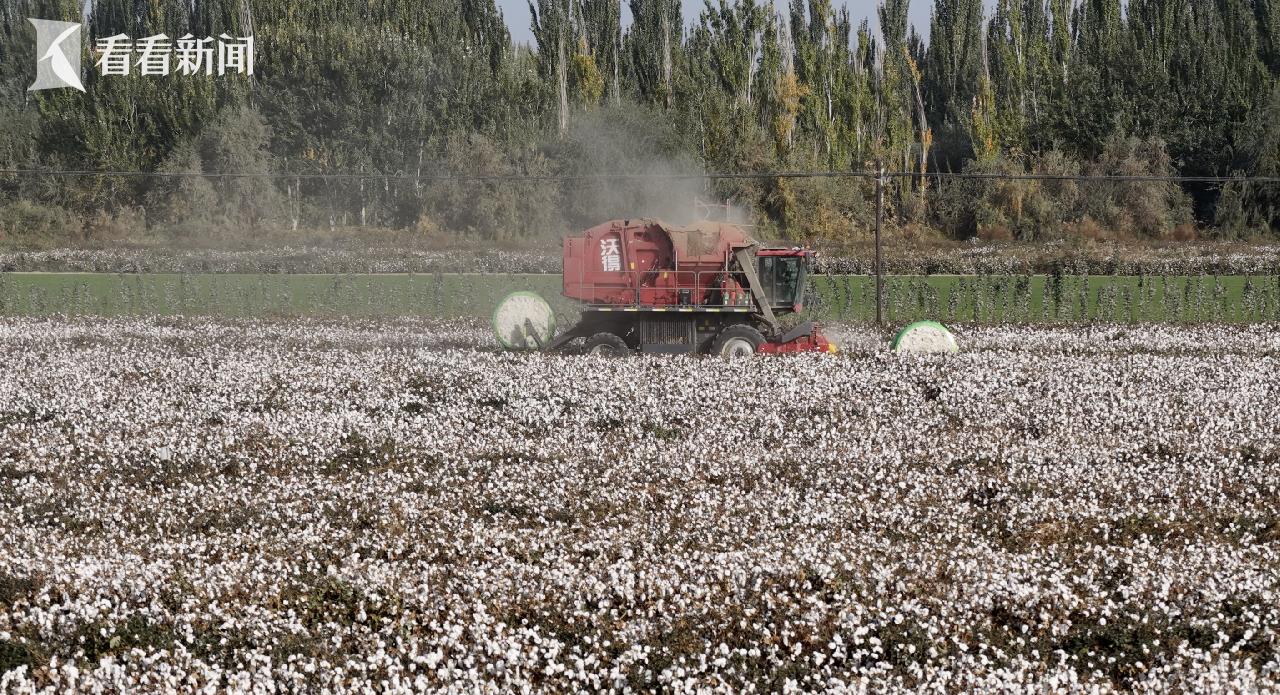 “明年我也买一台!”一位新疆棉农的“机械雄心”