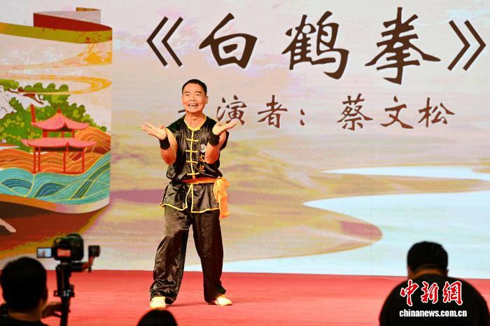 第十七届海峡两岸中华武术大家练在福建龙文开幕