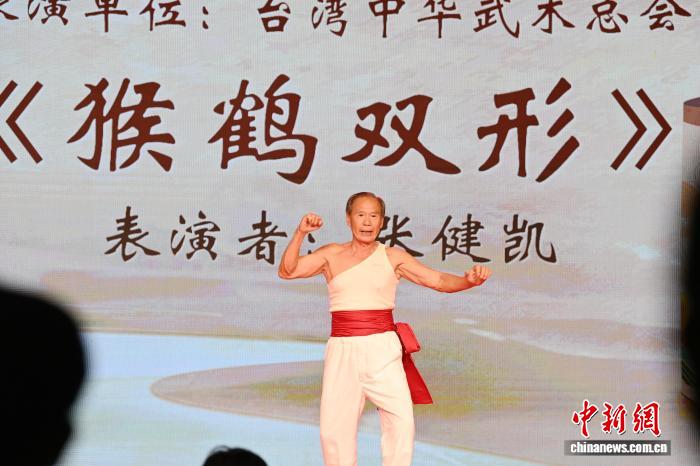 第十七届海峡两岸中华武术大家练在福建龙文开幕