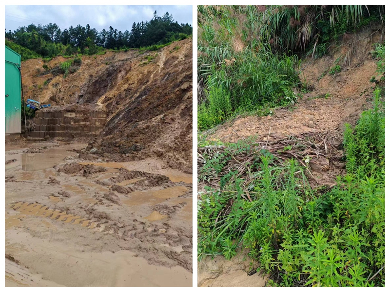 人民直击｜泉州永春：企业毁田，谁之过？