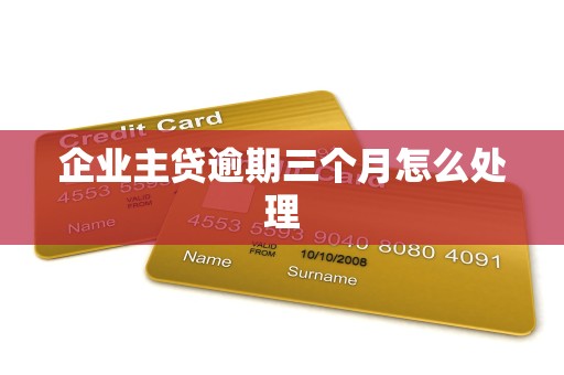 企业主贷逾期三个月怎么处理