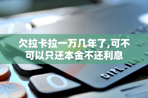 欠拉卡拉一万几年了,可不可以只还本金不还利息