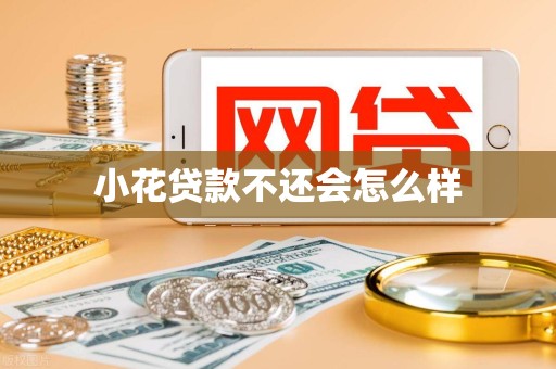 小花贷款不还会怎么样