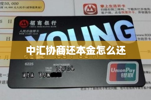 中汇协商还本金怎么还