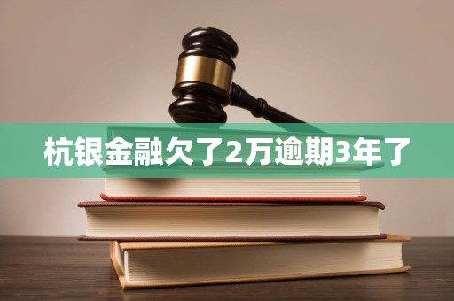 杭银金融欠了2万逾期3年了