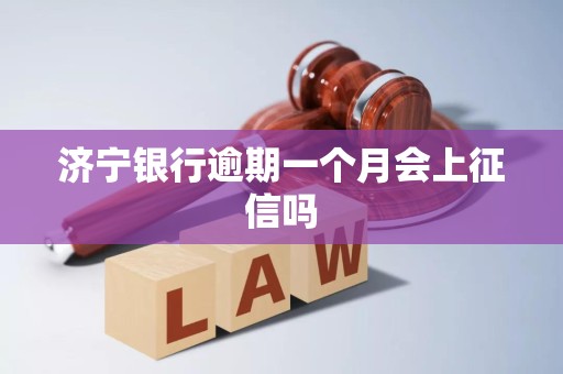 济宁银行逾期一个月会上征信吗