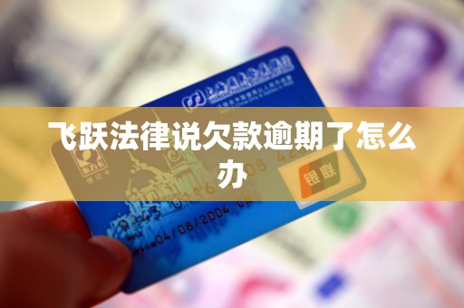 飞跃法律说欠款逾期了怎么办