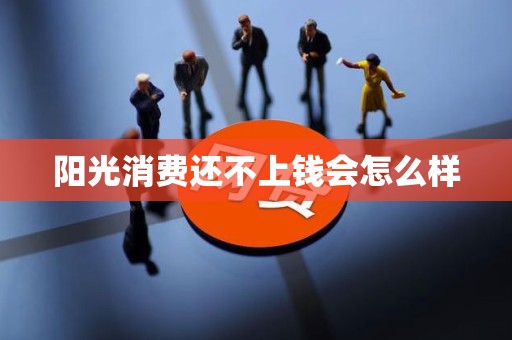 阳光消费还不上钱会怎么样