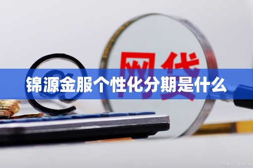 锦源金服个性化分期是什么