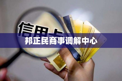 邦正民商事调解中心
