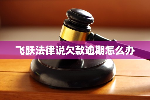 飞跃法律说欠款逾期怎么办