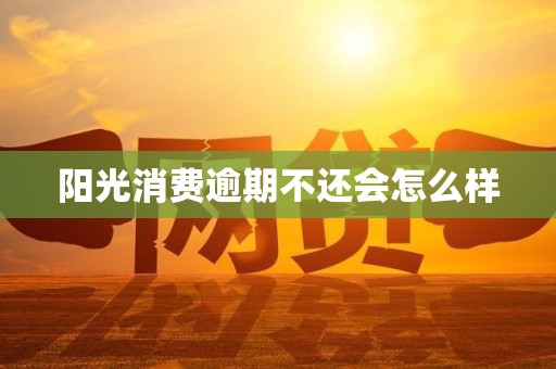 阳光消费逾期不还会怎么样