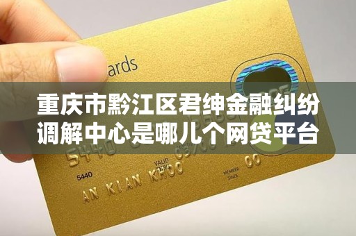 重庆市黔江区君绅金融纠纷调解中心是哪儿个网贷平台委派的
