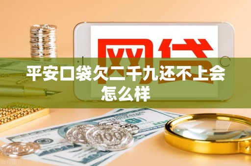 平安口袋欠二千九还不上会怎么样