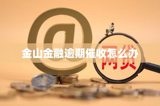 金山金融逾期催收怎么办