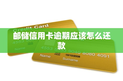 邮储信用卡逾期应该怎么还款