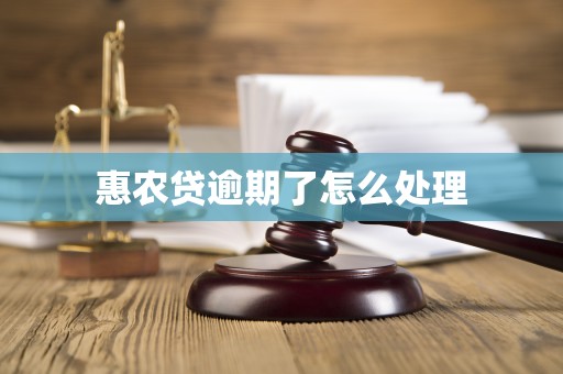 惠农贷逾期了怎么处理