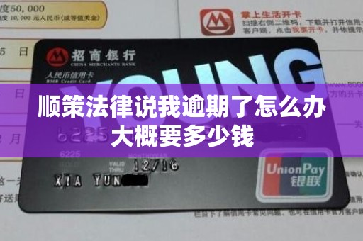 顺策法律说我逾期了怎么办大概要多少钱