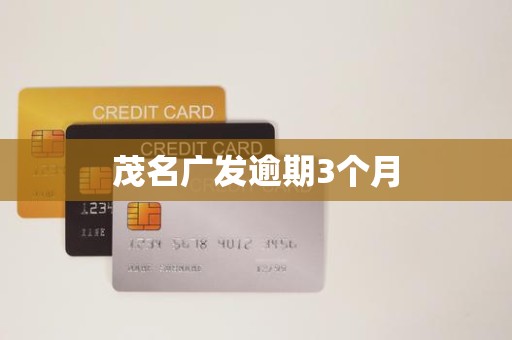 茂名广发逾期3个月