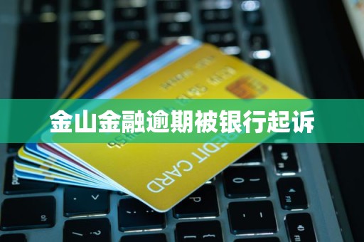 金山金融逾期被银行起诉