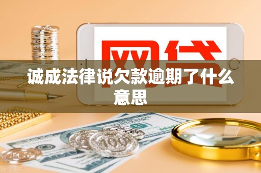 诚成法律说欠款逾期了什么意思