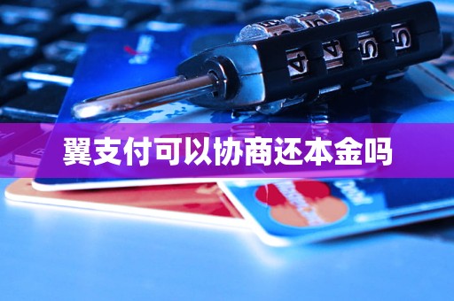 翼支付可以协商还本金吗