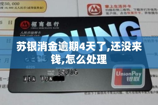 苏银消金逾期4天了,还没来钱,怎么处理