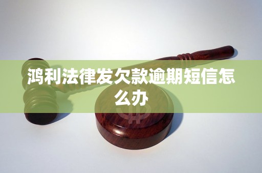 鸿利法律发欠款逾期短信怎么办