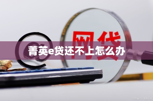 菁英e贷还不上怎么办