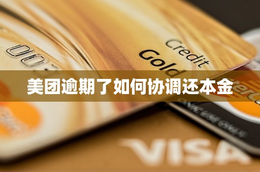 美团逾期了如何协调还本金