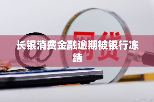 长银消费金融逾期被银行冻结
