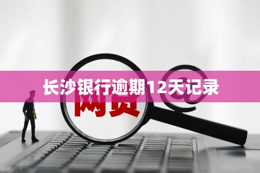 长沙银行逾期12天记录