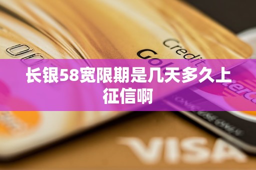 长银58宽限期是几天多久上征信啊