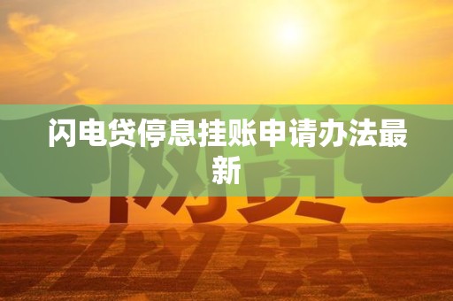 闪电贷停息挂账申请办法最新